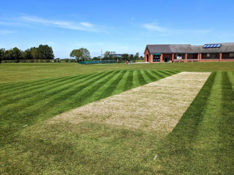 346968856_785313922903547_7271820029928340599_n